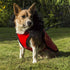 Hoodie Harness Dog Coat Red Medium