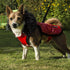 Hoodie Harness Dog Coat Red Medium