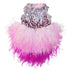 Hot Pink Ombre Feather Party Dog Dress