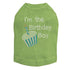 I'm The Birthday Boy Rhinestone Dog Tank