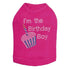 I'm The Birthday Boy Rhinestone Dog Tank