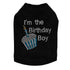I'm The Birthday Boy Rhinestone Dog Tank