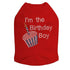 I'm The Birthday Boy Rhinestone Dog Tank