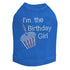 I'm The Birthday Girl Rhinestone Dog Tank