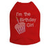 I'm The Birthday Girl Rhinestone Dog Tank