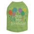 It's My Birthday Rhinestone Dog Tank