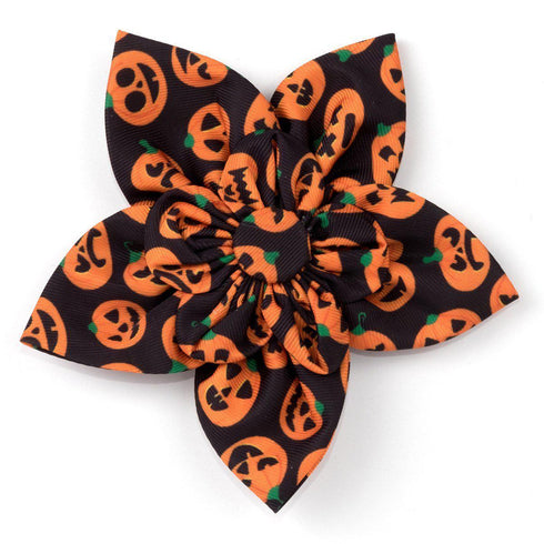 Jack-O-Lantern Dog Collar Flower