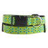 Jackson Green Dog Collar Medium 1" Limited Slip