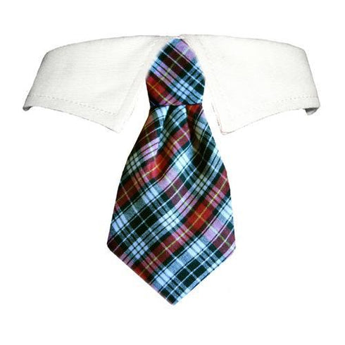 Jeff Dog Shirt Collar