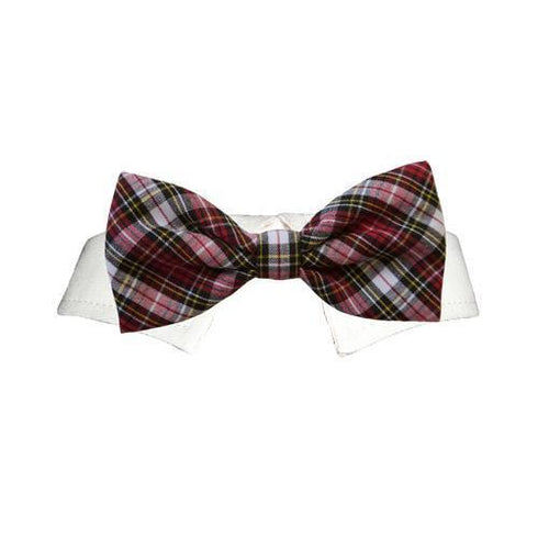 Jeremy Dog Bow Tie Collar