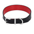 Joe Schmoe Confession Dog Collar