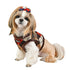 Jolly Dog Harness B Medium