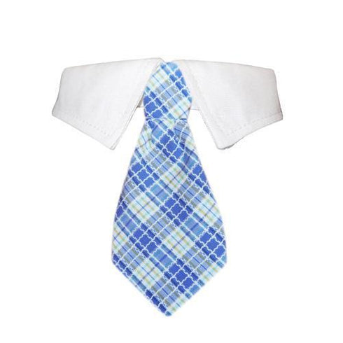 Kevin Dog Shirt Collar