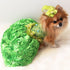 Key Lime Green Sequin Taffeta Dog Gown