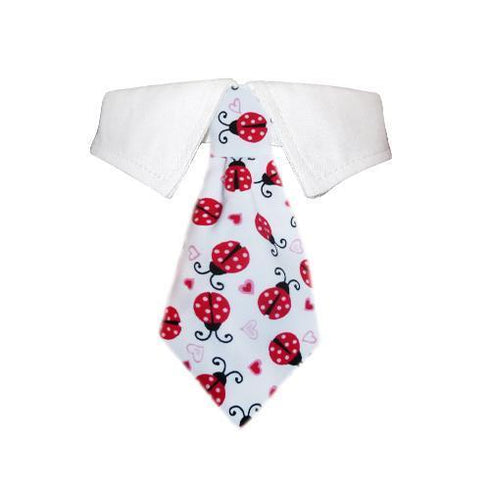 Lady Bug Dog Shirt Collar