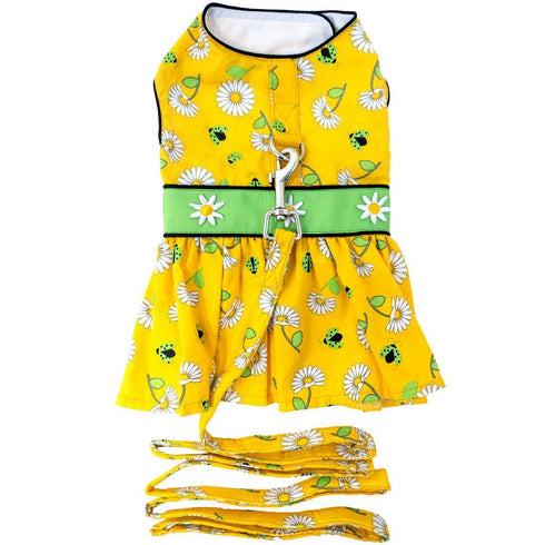 Ladybugs And Daisies Dog Dress With Matching Leash
