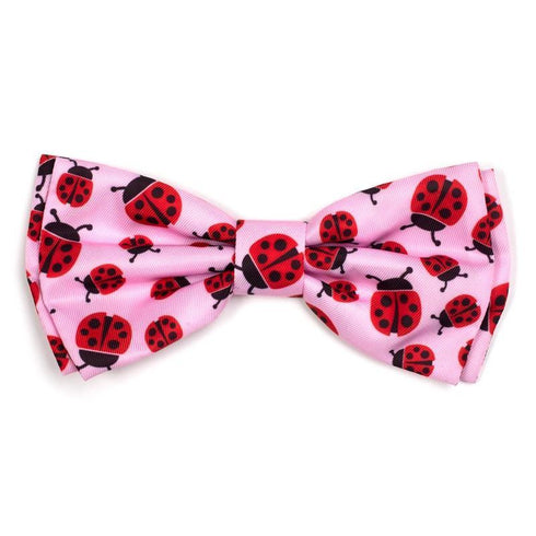 Ladybugs Dog Bow Tie