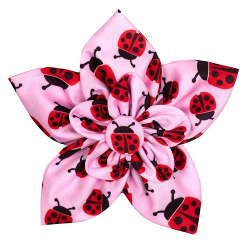 Ladybugs Dog Collar Flower