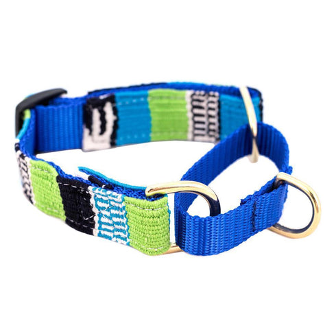 Laguna Brava Martingale Dog Collar Small