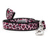 Leopard Dog Collar