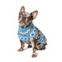 Light Blue Fairisle Wool Dog Sweater