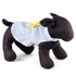 Light Blue Stripe Rubber Duck Woven Dog Dress
