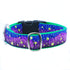 Lightning Bugs Essential 1" Dog Collar