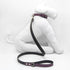 Lilac Desert Dog Leash