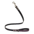 Lilac Desert Dog Leash