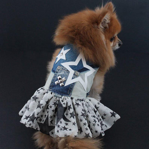 Limited Edition Super Starlet Denim Dog Dress