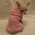 Little Princess In Training Dog Hoodie