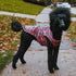 London Dog Raincoat Red/Black Plaid