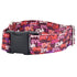 Love Graffiti Red EarthStyle Dog Collar