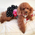 Love Polka Dots and Roses Dog Harness Dress
