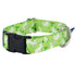 Lucky Dog EarthStyle Dog Collar