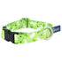 Lucky Dog EarthStyle Dog Collar