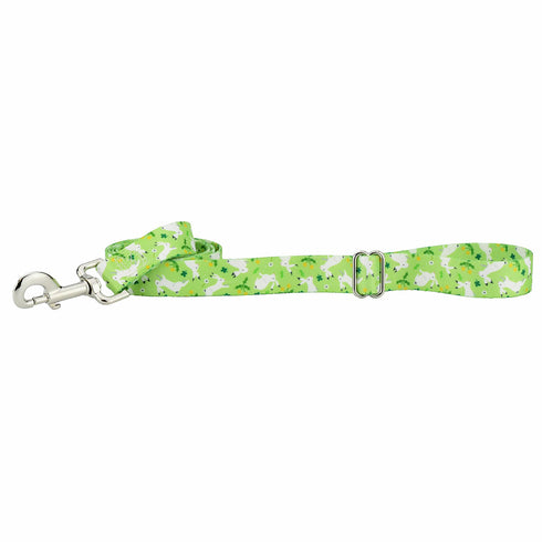 Lucky Dog EarthStyle Dog Leash