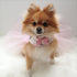Ma Cherie Princess Paris Tutu Dog Dress