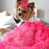 Ma Cherie Rose Designer Dog Dress