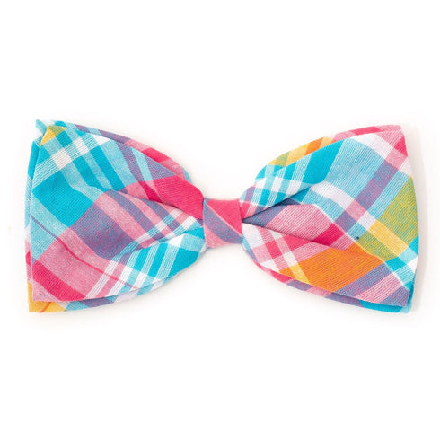 Madras Plaid Dog Bow Tie Turquoise/Pink/Multi