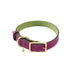 Mardi Gras Classic Leather Dog Collar Amethyst/Basil