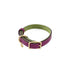 Mardi Gras Classic Leather Dog Collar Amethyst/Basil