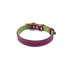 Mardi Gras Classic Leather Dog Collar Amethyst/Basil