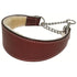 Martingale Shearling Lined Dog Collar
