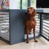 Moderno Dog Crate Grey
