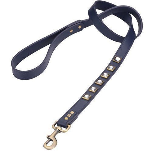 Monte Carlo Blue Dog Leash
