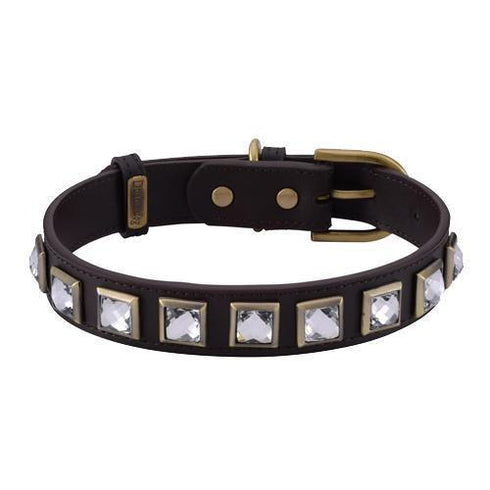 Monte Carlo Brown Dog Collar