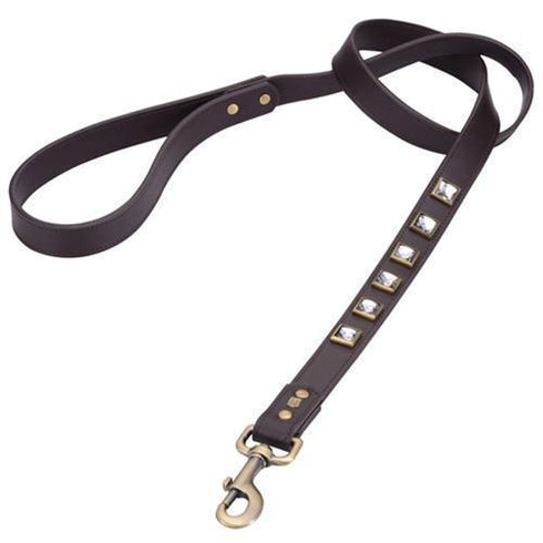 Monte Carlo Brown Dog Leash