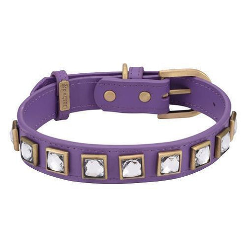 Monte Carlo Purple Dog Collar