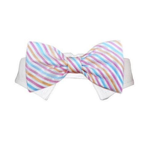 Morgan Dog Bow Tie Collar